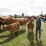 Det Fynske Dyreskue 2010