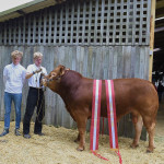 Iwar won Shows Best Male and winder of interbreed.